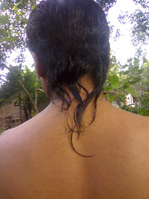 Rambut panjang